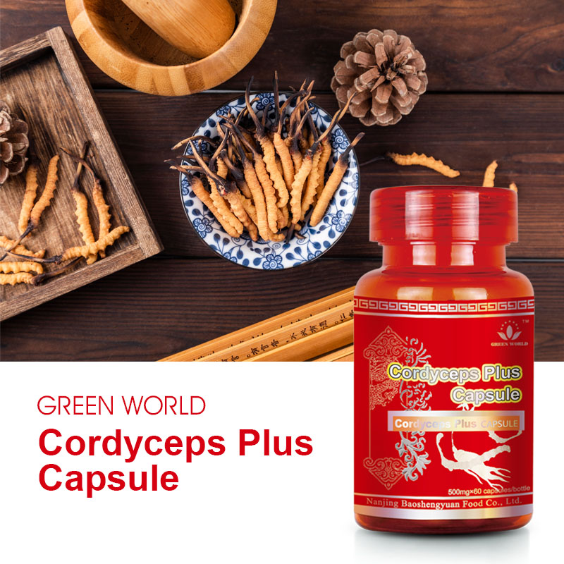Green World Cordyceps Plus Capsules – Immune & Lung Support – 60 Capsules (500 mg)