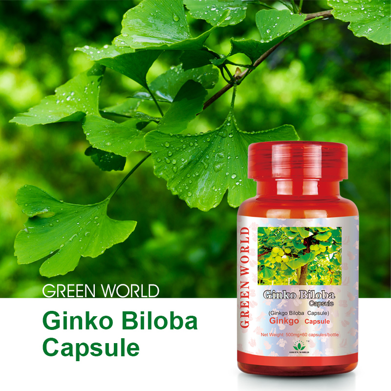 Green World Ginkgo Biloba Capsules – Circulation & Brain Support – 60 Capsules (500 mg)