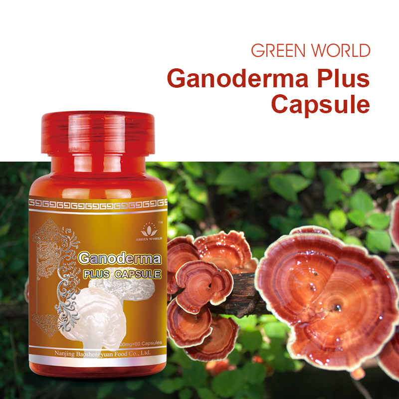 Green World Ganoderma Plus Capsules (Reishi) – Immune Support – 60 Capsules (300 mg)