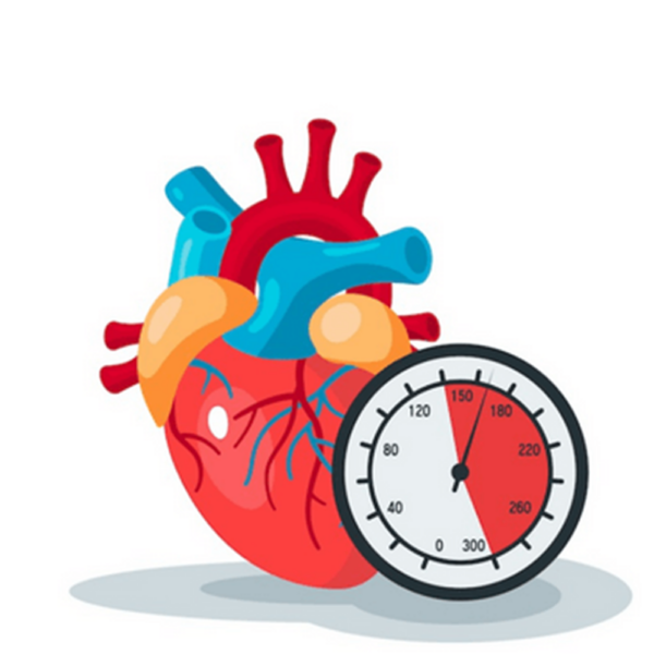 Green World Blood Pressure (blood pressure wellness) Wellness Support Package – Green World Health Kenya