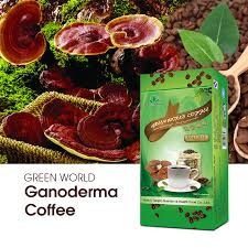 Green World Ganoderma Coffee Solid Beverage II – Green World Health Kenya