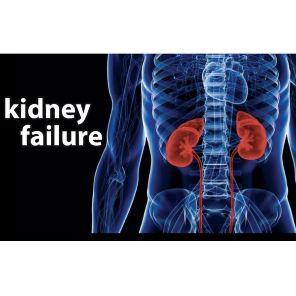 Green World Kidney Wellness Support Supplement Package – Green World Health Kenya